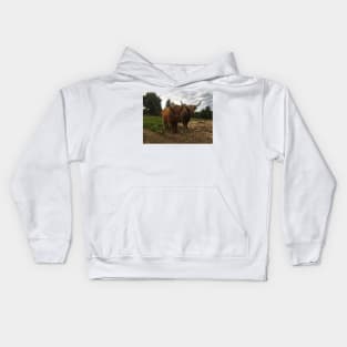 Scottish Highland Cattle Cow and Calf 2047 Kids Hoodie